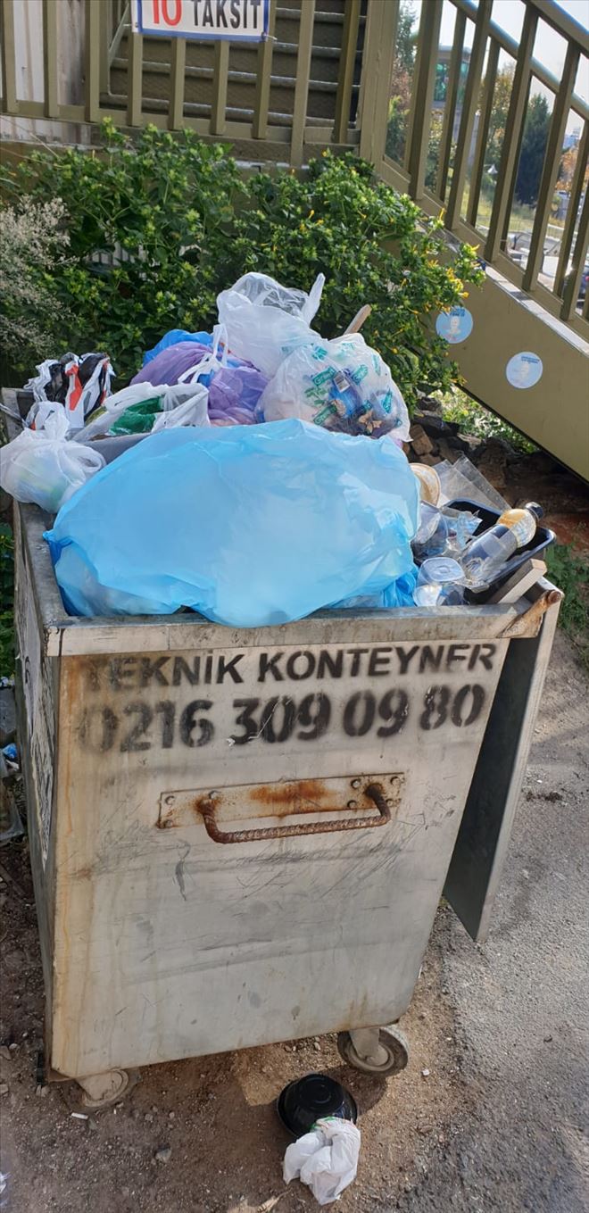 /resimler/2019-10/26/1509078550328.jpg /resimler/2019-10/26/1509078550328.jpg